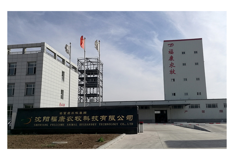 沈阳福？？？？